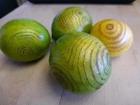 lemon tatoo compressed