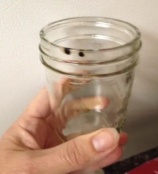 El moho puede crecer debido a algunos factores importantes. Deshágase de productos que muestren cualquier señal de contener moho. (Fotografía: Programa Maestro para Conservar Alimentos de UC)