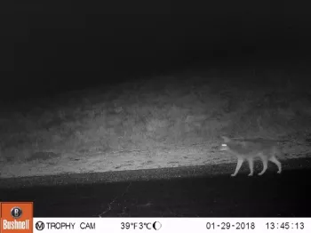 27500193 1789995837679980 7994479345356515213 o