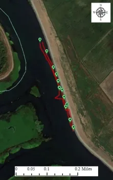 Figure 7. An example of a plant mat changing course as the tide changed. The red line records the track of the GPS in a water hyacinth mat. Next to Mandeville Island, Sacramento-San Joaquin Delta. February 7, 2018.