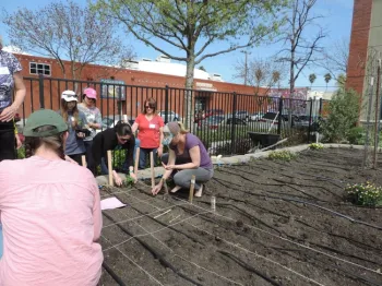 GW Sue sq ft garden demo