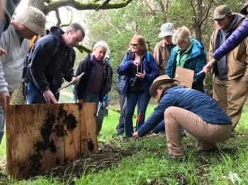 Hopland Research & Extension Center Naturalists monitoring herpetofauna.