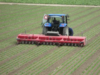 Steketee IC cultivating three 80-inch wide beds