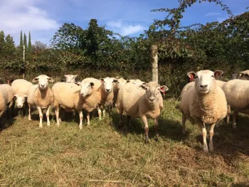 2016-10-22 15.04.05-1