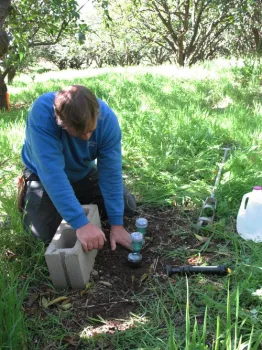 A man installing tensiometers for monitoring soil moisture