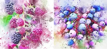 blackberries and blueberries