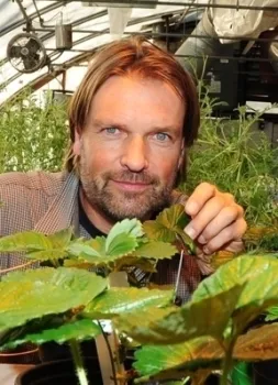 UC Davis agricultural entomologist Christian Nansen working in his greenhouse. (Photo by Kathy Keatley Garvey)