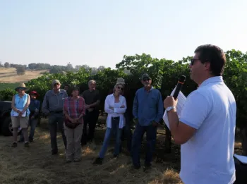 Daniele speaking to a group in a vineyard.