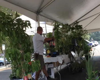 tina harvest day 2018