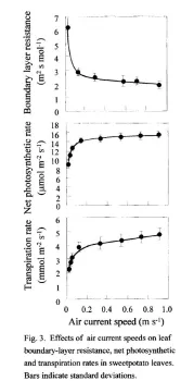 photo, transp, boundary layer Kitaya 2003