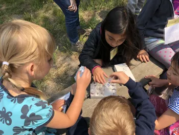 Kids exam their insect collections