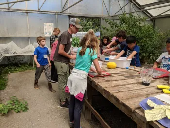 Paper making