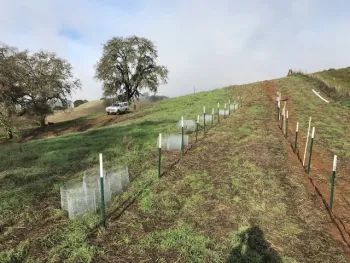 Establishing the plots.