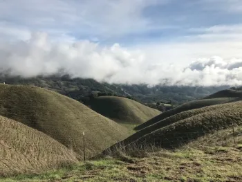 Beautiful oak woodland landscape at Hopland Research and Extension Center