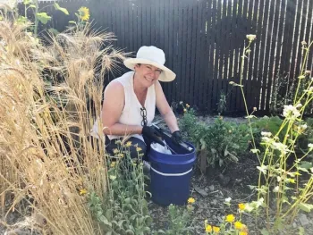 Mimi taking soil samples after 2017 fires