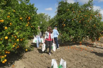 Bringing in the bounty for preserving.