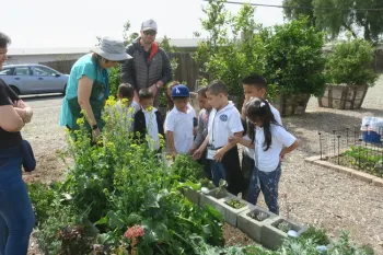 Taking time to smell the herbs.