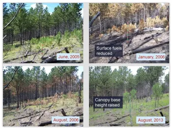 Rx burn before and after in South Dakota