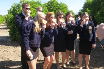 Enjoying the many citrus varieties.