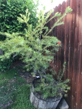 photos by Karen Metz