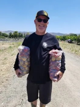 Bringing in the bounty.