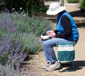 Citizen Science bee monitoring at the Haven