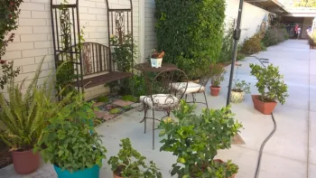 Garden area in front of the school library