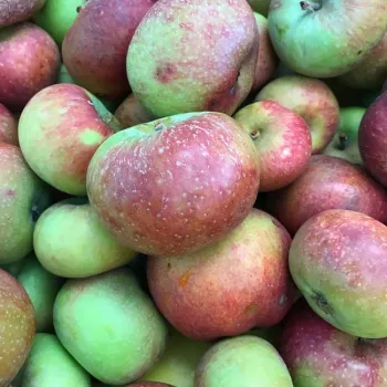 75614143 2462635497151524 5772897170692767744 n (1)