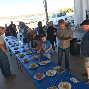 74687835 2462635697151504 8213314141083926528 n