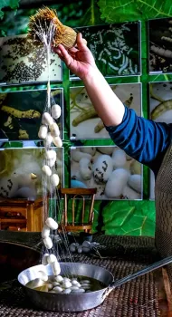 Silk worm both expert,Ismail Seker, a Turkish medical doctor, will give a presentation at 3 p.m., Saturday, Nov. 16. (Photo courtesy of Ismail Seker)