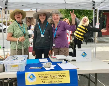 Sunday Streets - Valencia