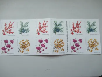 winter berries stamp