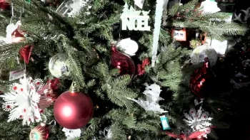 Holiday Celebrations