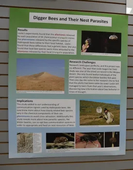 Part of the Bohart Museum of Entomology display, 