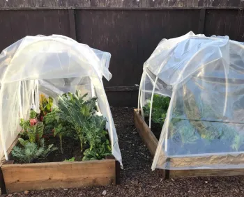 Hoop house by Jenny Marr