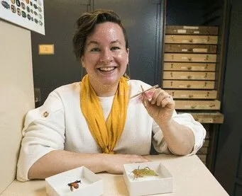 Mary Salcedo, postdoctoral fellow at Virginia Tech who studies insect wings.