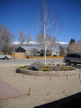 Flower plots staked out.