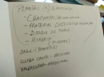 2NOTESIMG 20190505 120121 - Copy - Chaparral Chick