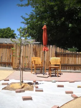 Solarizing to kill weeds