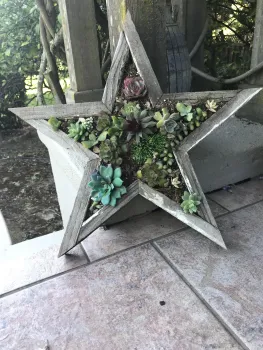 Star-shaped wood planter filled with an assortment of small succulents in green, blue-green, and deep purple rosette forms, set against a wood post on a tile patio.