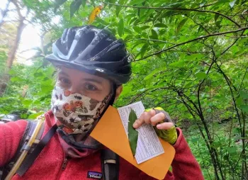 Collecting leaves by bicycle (small)