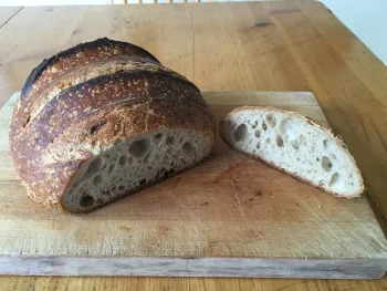 MFP Sourdough