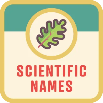 Scientific Names