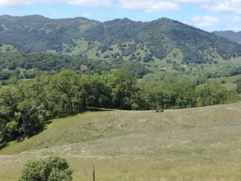 These soils at the Hopland Research and Extension Center, Mendocino County, hold special research interest for Allie Igwe. Top portion of the photo shows non-serpentine soil and lower portion, serpentine soil. (Photo by Allie Igwe)
