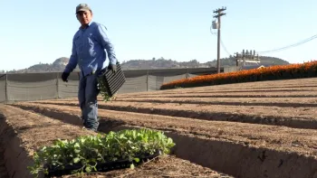 Peque&ntilde;os productores