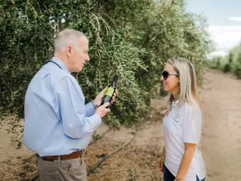 Photo Credit: Imperial California Olive Mill