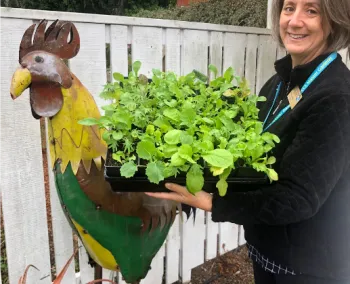 MG Patty D. Delivers Vegetable Seedlings to CFHL