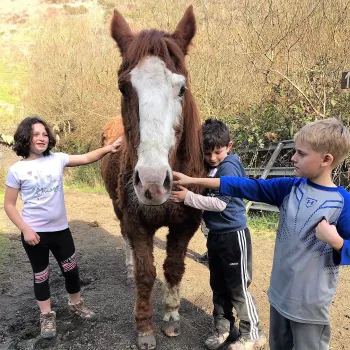 Ozzy and Winter Camp Past Participants