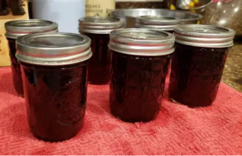 MFP wine jelly