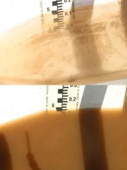 Figure 4. Sprinkler run-off from PAM treated (top) and untreated (bottom) plots in a commercial romaine lettuce field. Run-off is flowing through flumes positioned at the lower end of the plots.